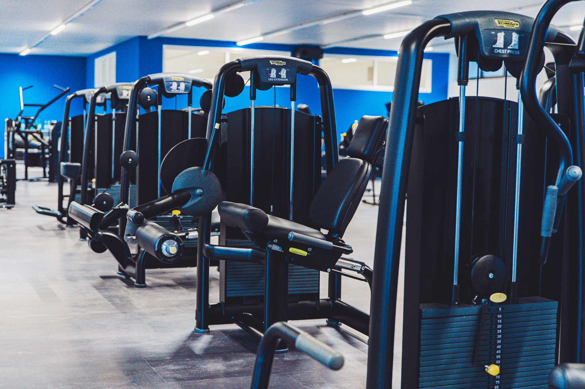 Reihe moderner Kraftmaschinen im Trainingsbereich von Blueline-Fitness Detmold-Pivitsheide